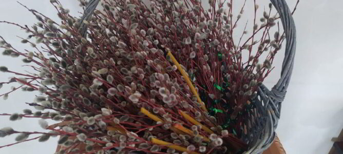 С Вербным Воскресением!